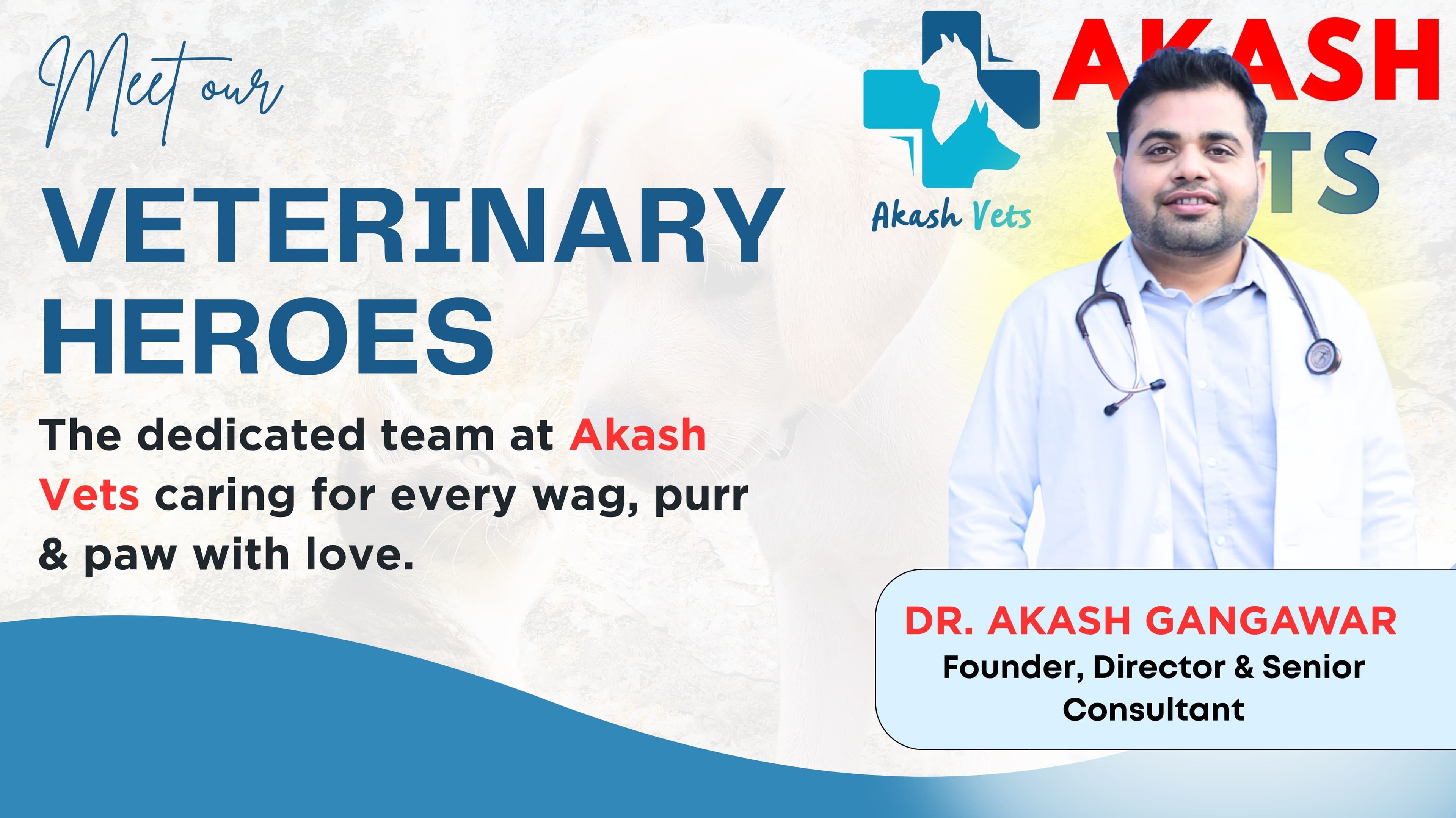 Meet our Veterinary Heroes - Dr. Akash Gangawar