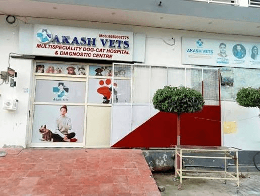 Akash Vets Clinic Storefront - Professional Entrance